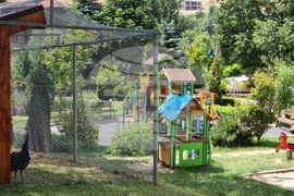 Село Черноочене - птици - кът