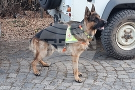 Перник - издирвателна акция - Екипи на Планинска спасителна служба