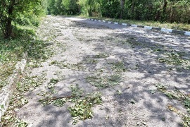 Варна - села - градушка - щети