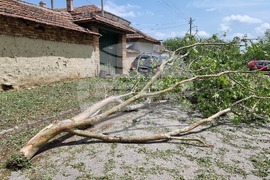 Варна - села - градушка - щети