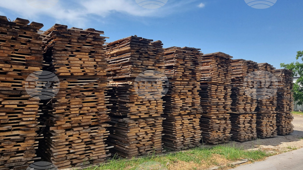 Producer Price Indices in Bulgarian Forestry Decrease by 0.4% in Q1 of 2025 Y/Y