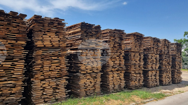 Producer Price Indices in Bulgarian Forestry Decrease by 0.4% in Q1 of 2025 Y/Y