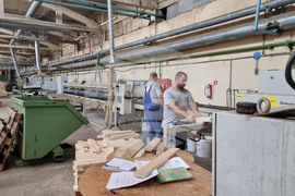 Кубрат - дърводобивна и дървопреработвателна компания