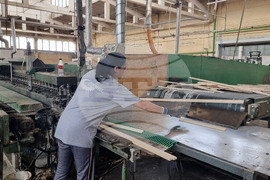 Кубрат - дърводобивна и дървопреработвателна компания