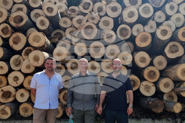 Кубрат - дърводобивна и дървопреработвателна компания