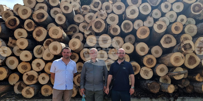 Кубрат - дърводобивна и дървопреработвателна компания