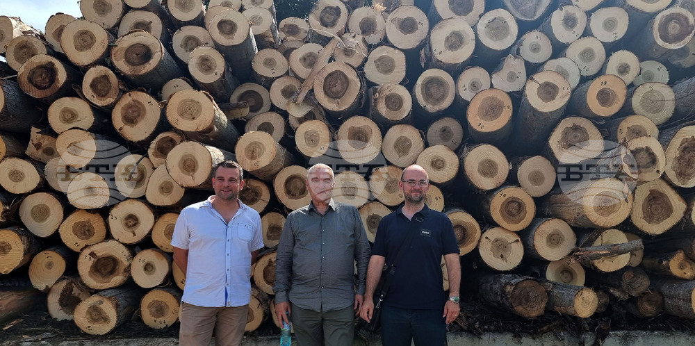 Кубрат - дърводобивна и дървопреработвателна компания