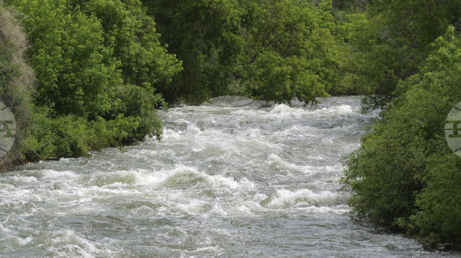 Двама, а не трима са загиналите мигранти при инцидент в река Сава в Хърватия