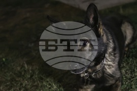 Летище София - служебни кучета