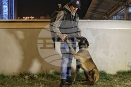 Летище София - служебни кучета