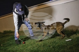 Летище София - служебни кучета