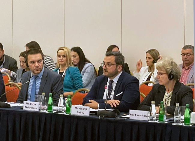 Заместник-министър Събев: Държавите от Западните Балкани остават ключови стратегически партньори за България