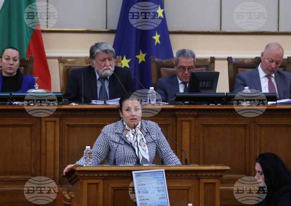 Парламент - заседание - Десислава Танева