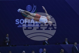 Световно първенство по скокове на батут - квалификации 