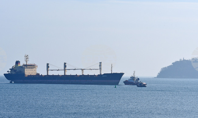 Варна - товарен кораб "Царевна"