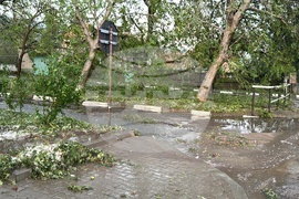 Шипка - градушка - щети