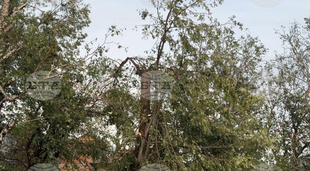 Шипка - градушка - щети