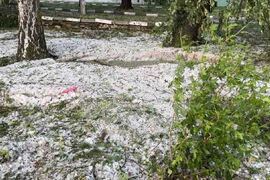 Шипка - градушка - щети