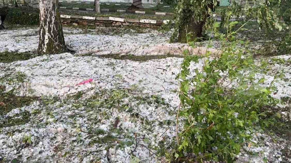 Шипка - градушка - щети