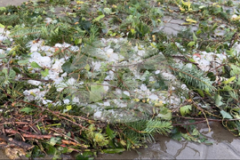 Шипка - градушка - щети