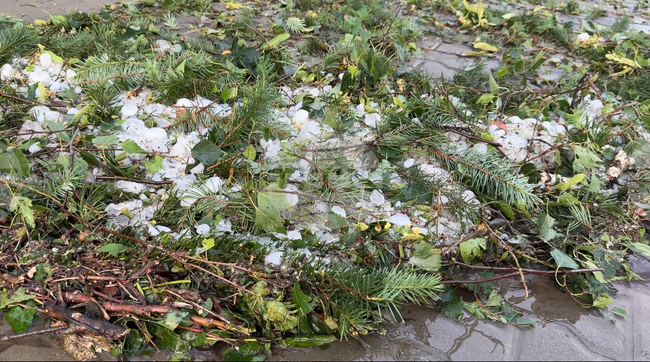 Почти 170 домакинства от град Шипка са получили от държавата обезщетения за имотни щети след градушката от 13 юни м. г.