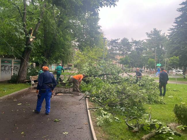 Община Русе: В Русе над 230 служители от дежурните екипи отстраняват щетите след снощната буря