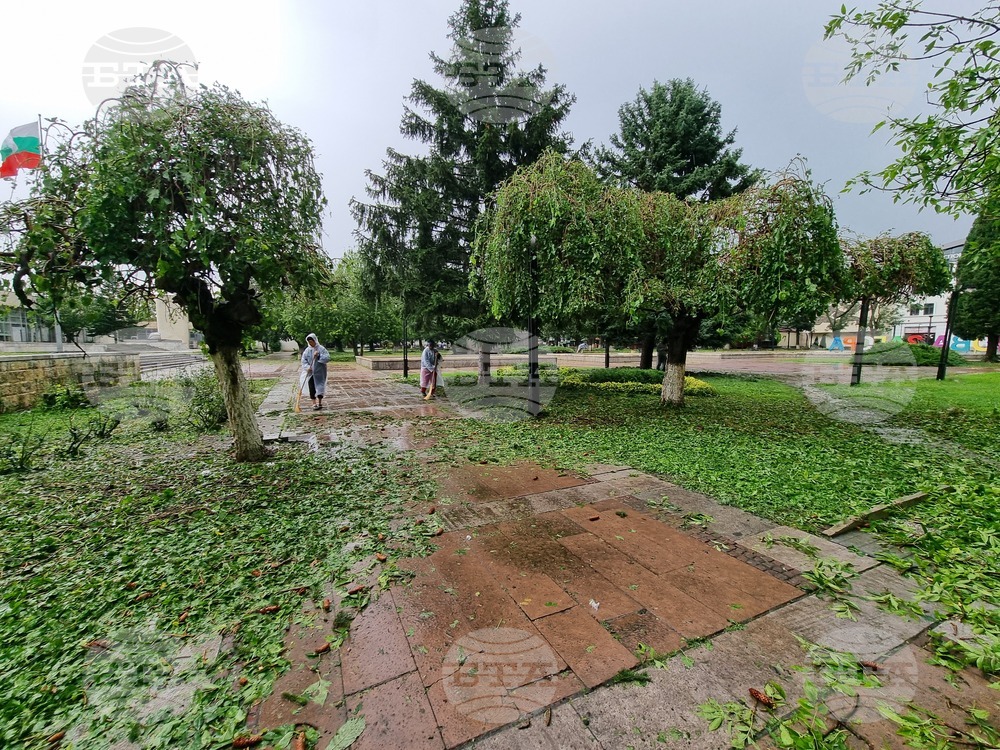 Нова Загора - градушка - щети