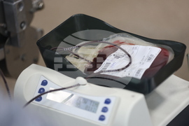 Световен ден на кръводарителя - акция кръводаряване