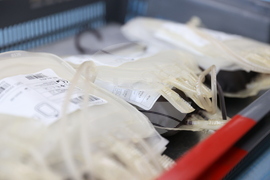 Световен ден на кръводарителя - акция кръводаряване