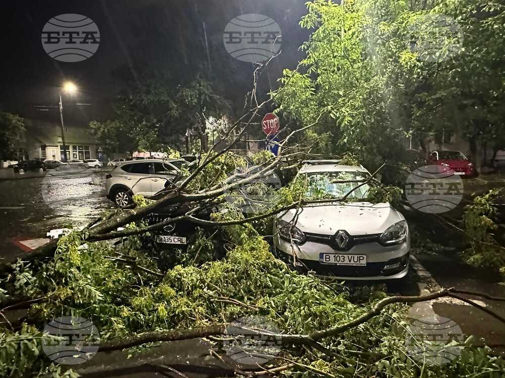 Severe Storm in Bucharest Floods Streets, Downs Trees, Diverts Flights to Bulgaria