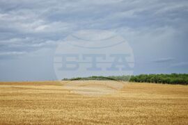 Село Пирне - жътвена кампания - откриване