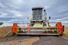 Село Пирне - жътвена кампания - откриване