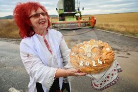Село Пирне - жътвена кампания - откриване