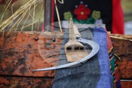 Село Пирне - жътвена кампания - откриване