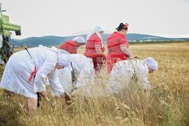 Село Пирне - жътвена кампания - откриване