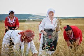 Село Пирне - жътвена кампания - откриване