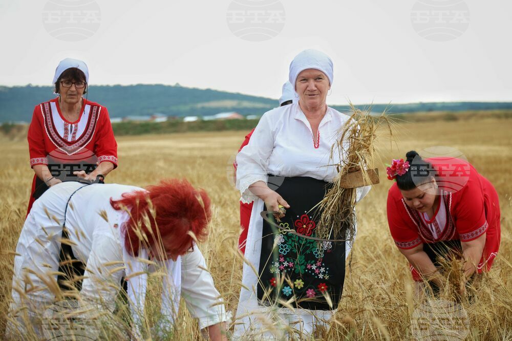 Село Пирне - жътвена кампания - откриване