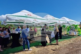 Село Белчин - къмпинг „Поларис“ - първа копка