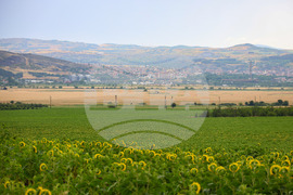 Село Пирне - земеделски земи - изглед