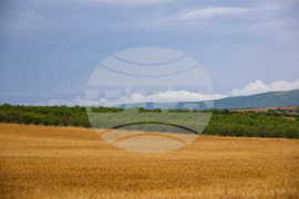 Село Пирне - земеделски земи - изглед