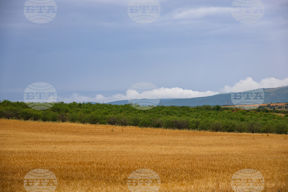 Село Пирне - земеделски земи - изглед
