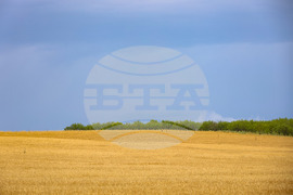 Село Пирне - земеделски земи - изглед