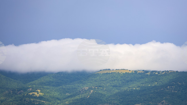 Земеделските стопани получиха 101 млн. лева по интервенцията за необлагодетелствани райони за Кампания 2025