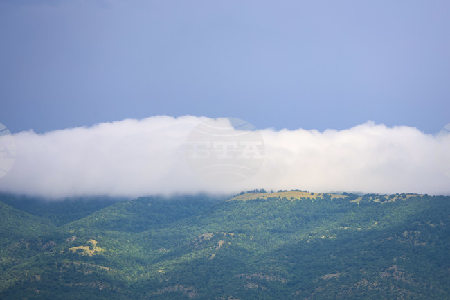 Земеделските стопани получиха 101 млн. лева по интервенцията за необлагодетелствани райони за Кампания 2025