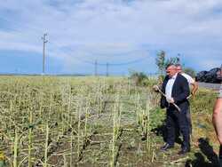 Снимка: МЗХ