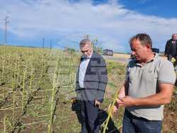 Снимка: МЗХ