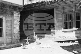 Неделна разходка из Жеравна