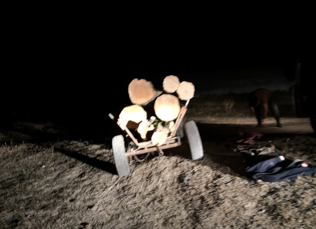 Незаконни дървосекачи бяха заловени в землището на село Църквица, по време на съвместна проверка