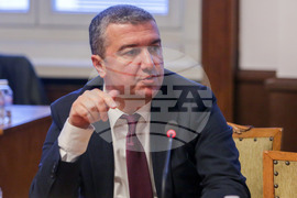 Комисия по въпросите на Европейския съюз - заседание -  Драгомир Стойнев