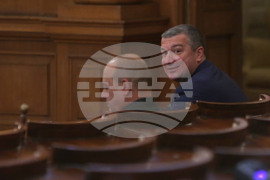 Парламент - Пленарна зала - Драгомир Стойнев